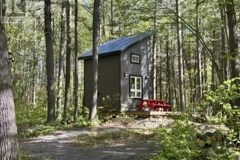 339 Dry Pine Road