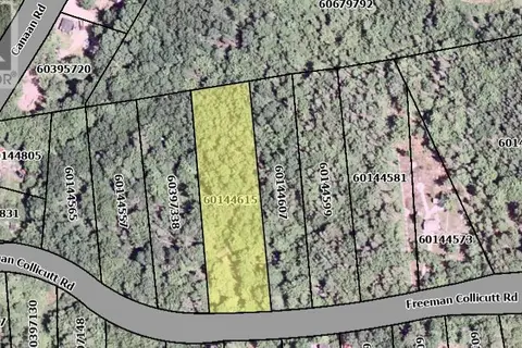 41 Freeman Collicutt Road