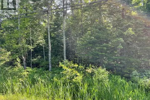 Lot 1 Route 490