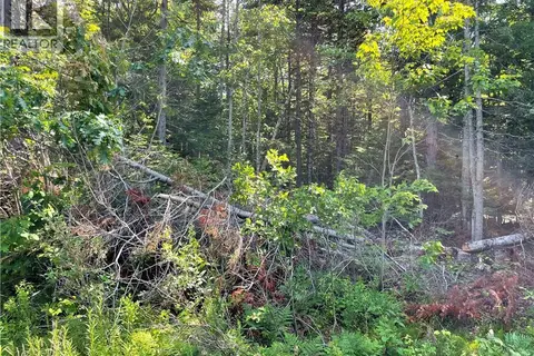 Lot 2 Route 490