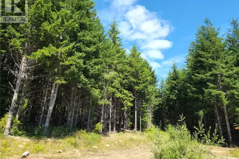 1 Timberline Way