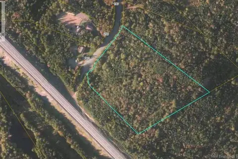 Cozy Lake Road