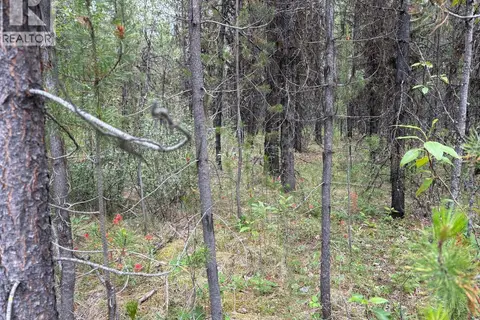 LOT 3 HORSE LAKE ROAD
