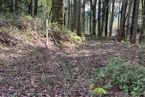 Lot A Ebadora Lane