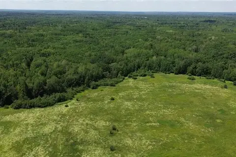 114.9 Acres Little River Drive