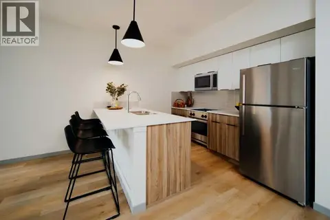 255 & 245 Carrington Plaza