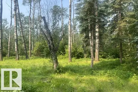 #113 55107 RR 33