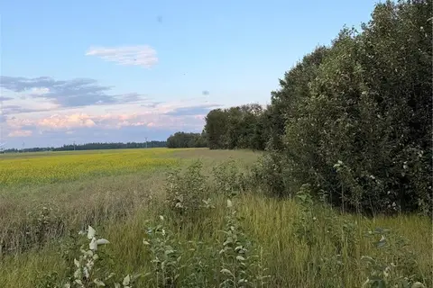 25.87 Acres 8.5kms East of Meadow Lake