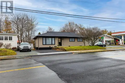 50 Torbay Road