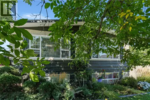 1240 Collison Road