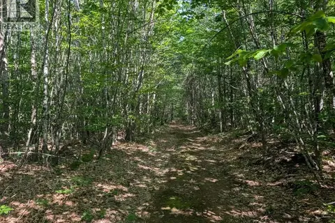 Wood Lot Green Road