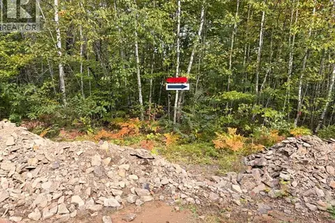 Recreational Woodlot Green Road