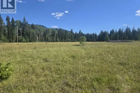 3680 Miller Lake FSR Forest