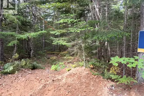 Steeves Lot Green Road