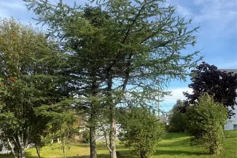 15 Cedar Drive