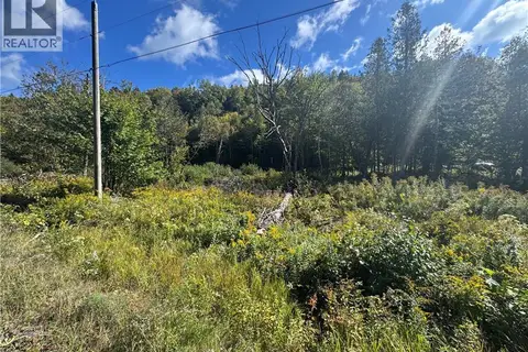 Frye Road