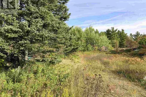 11934 Highway 17
