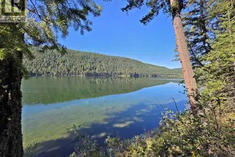 LOT 1 MCLEESE LAKE ROAD