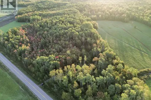 Highway 246