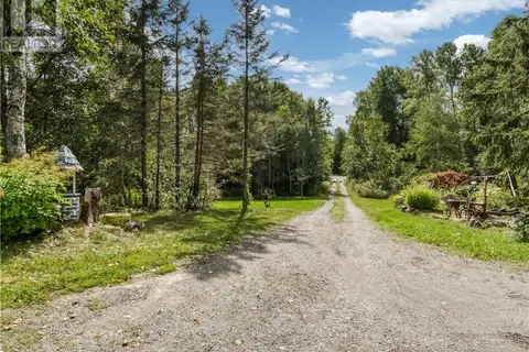 896 RED DEER LAKE ROAD N