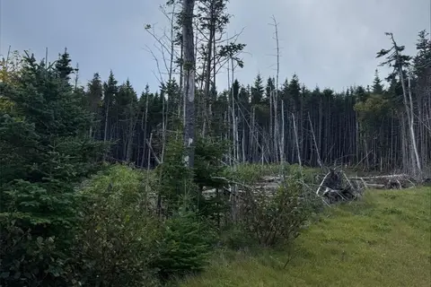 Lot 13 Southern Shore Highway