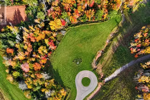 C-11 Forest View Crt