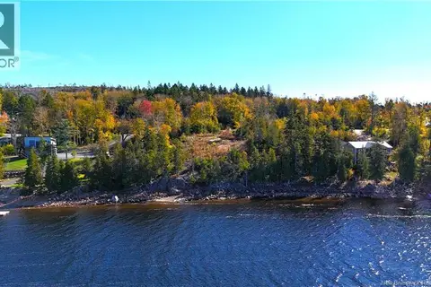 Bluff Road