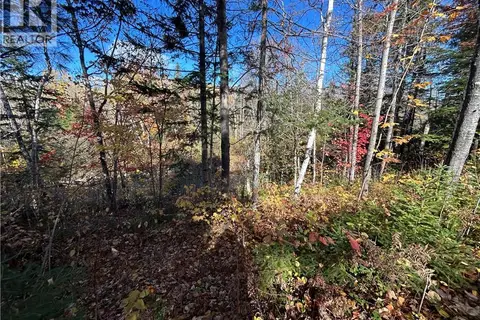 LOT Allée des Poulamons