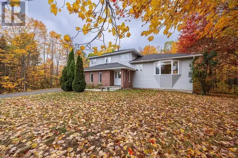 123 Palomino DR