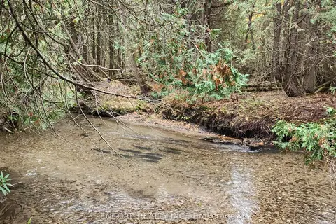 4627 Ganaraska Road 10