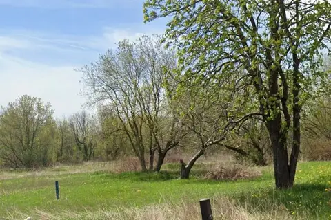 12838 Ninth Line