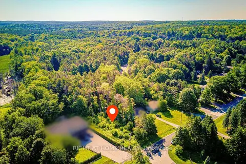 16895 Mccowan Road