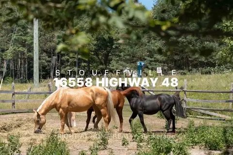 16558 Highway 48