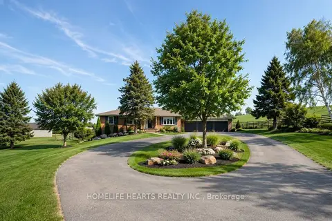 384 Zephyr Road