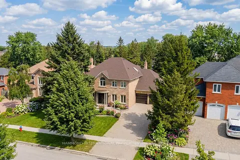 31 Vesta Drive