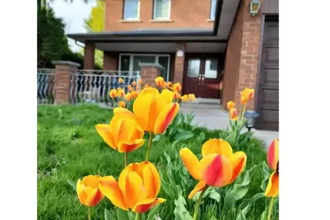 48 Cherry Hills Road