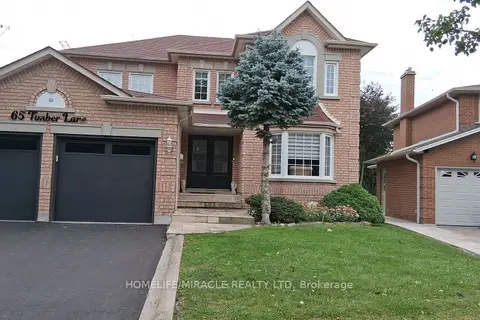 65 Timber Lane Basement