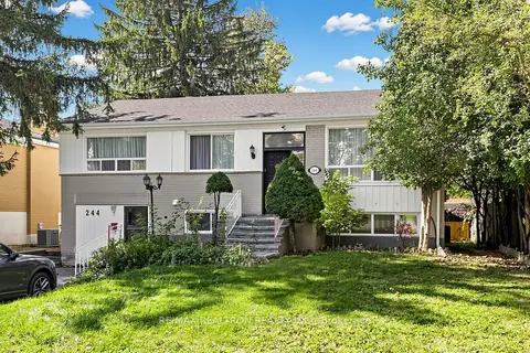 244 Tampico Road Main