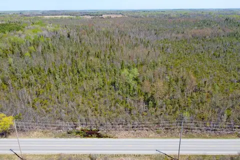 23995 MCCOWAN Road