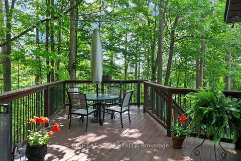 5 Pine Point