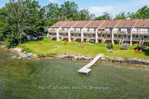 43 OLIVE Crescent 201