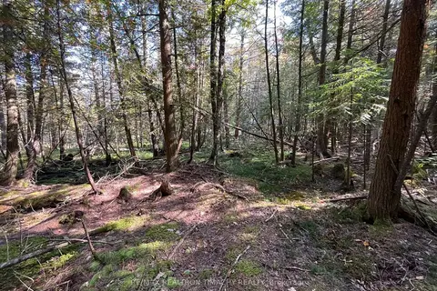 Lot 25 Champlain Road