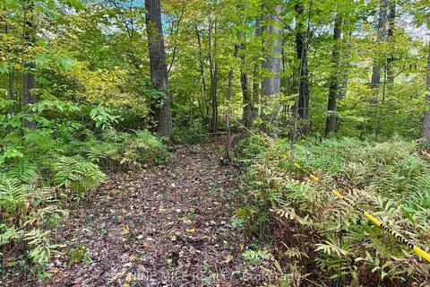 3159 Switch Road