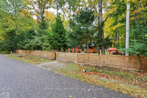 49 WOLFE Trail