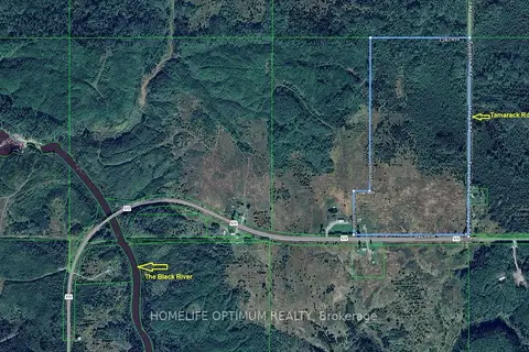 2116 Highway 572 Highway