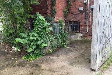 221 Westmoreland Avenue