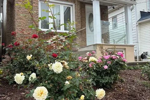 173 Chambers Avenue Lower