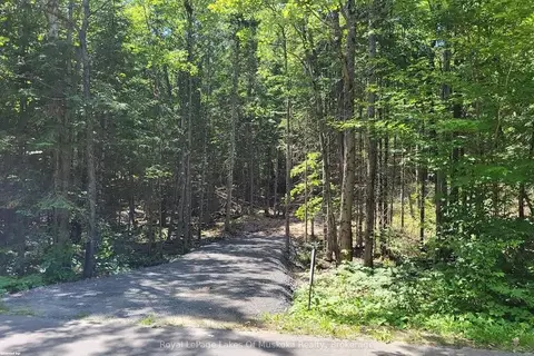 LOT 5 FAIRY FALLS Road