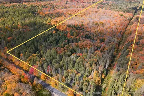 276 Fern Glen Road