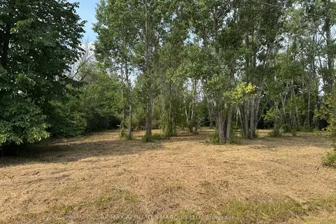 LOT Archer Road
